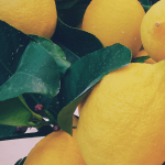 Ako získať 5 až 10-krát viac živín z citrónov