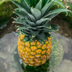Recept na ananásovú vodu pre lepšie zdravie